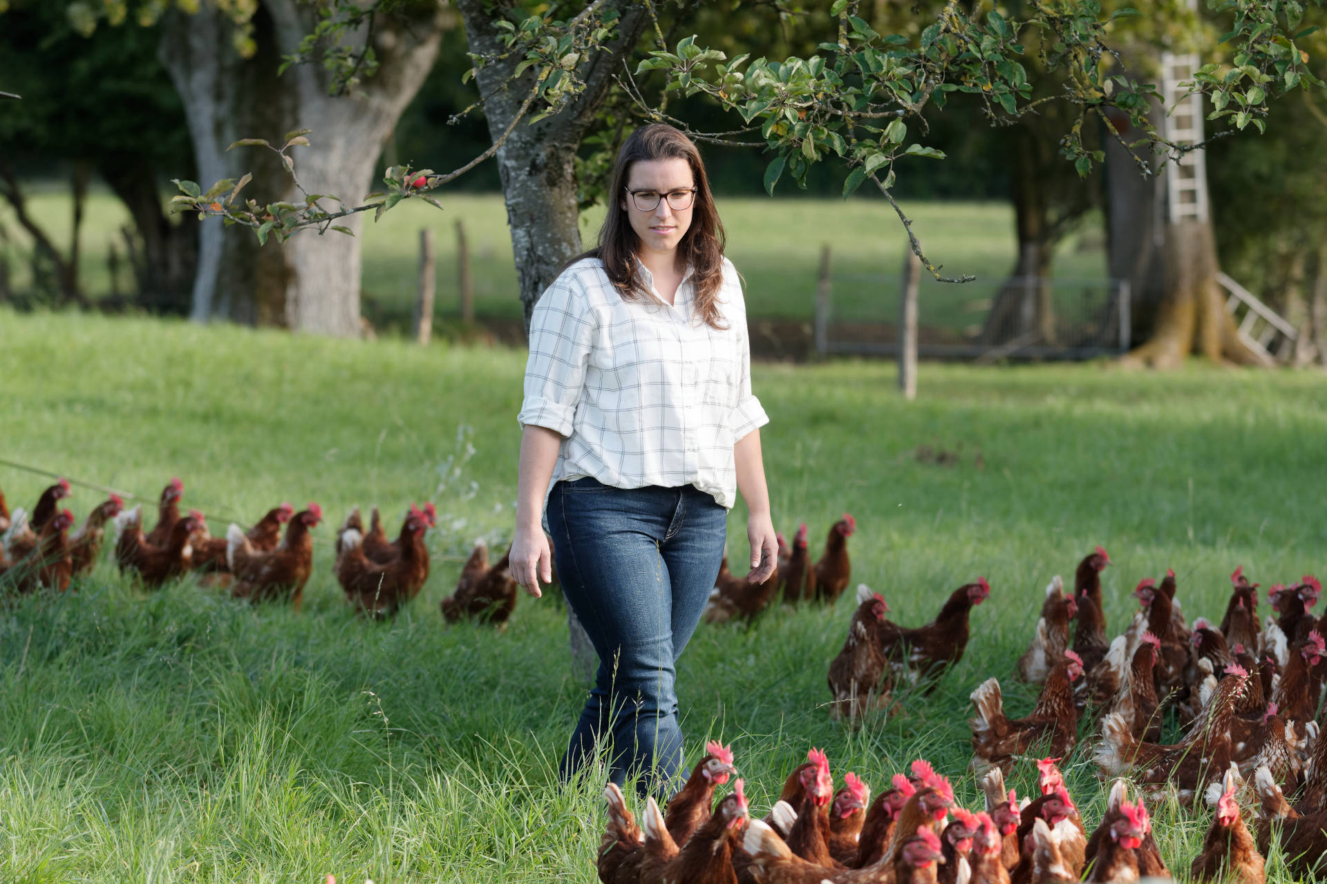 Une éleveuse de poulets de Loué se baladant au milieu de ses volailles