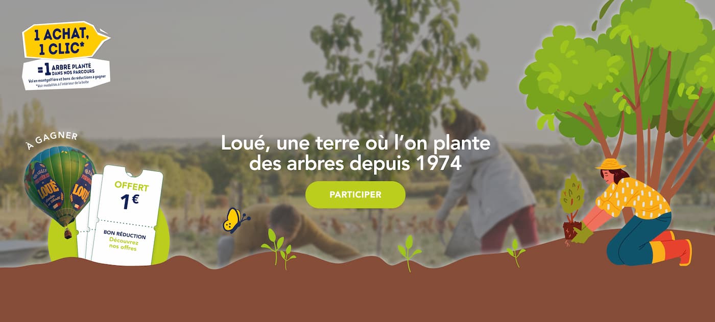 Loué, une terre où l'on plante des arbres depuis 1974