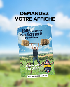 Demandez votre affiche de Loué