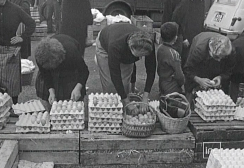 Photo d'archive INA - Foire à l'Envoi - Oeufs de Loué