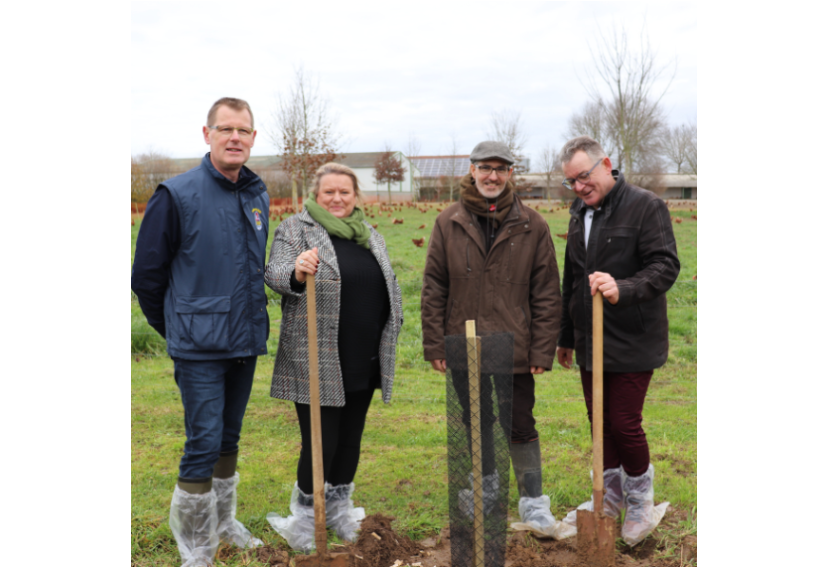 Chantier de plantation d'arbres chez un éleveur de poules pondeuses de Loué