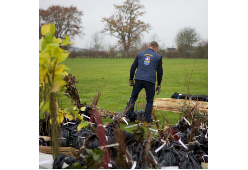 Réception des plants à la Coopérative des Fermiers de Loué pour distribution aux éleveurs