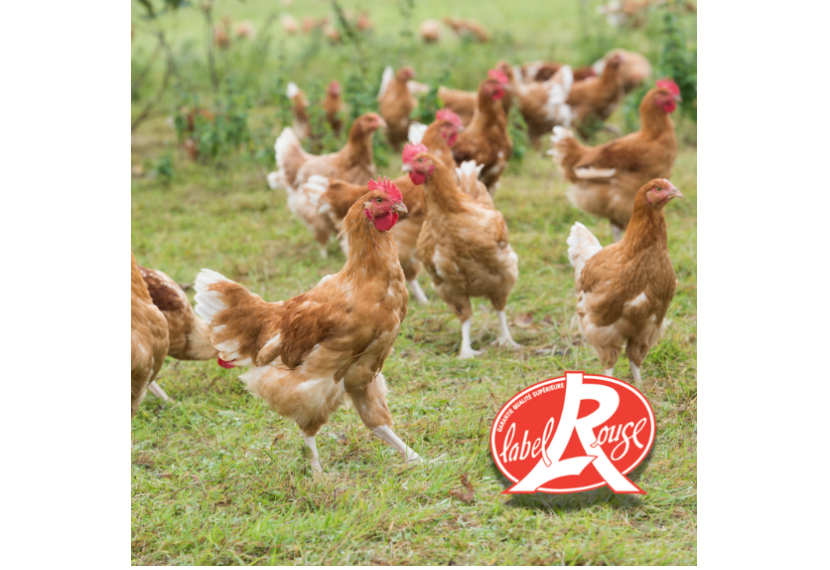 Photo - Poulets fermiers Label Rouge de Loué