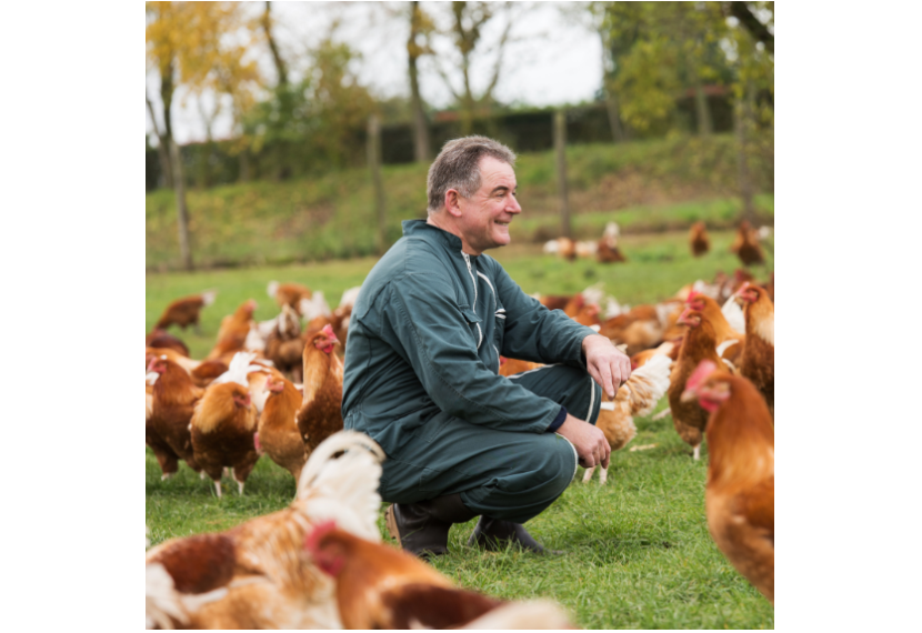 Philippe, éleveur de poulets fermiers de Loué