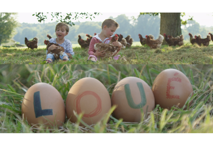 Extrait Pub - Oeufs de Loué