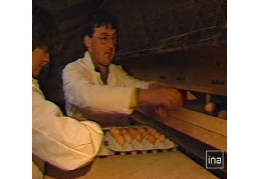 Reportage INA - Premiers oeufs de Loué - 1988