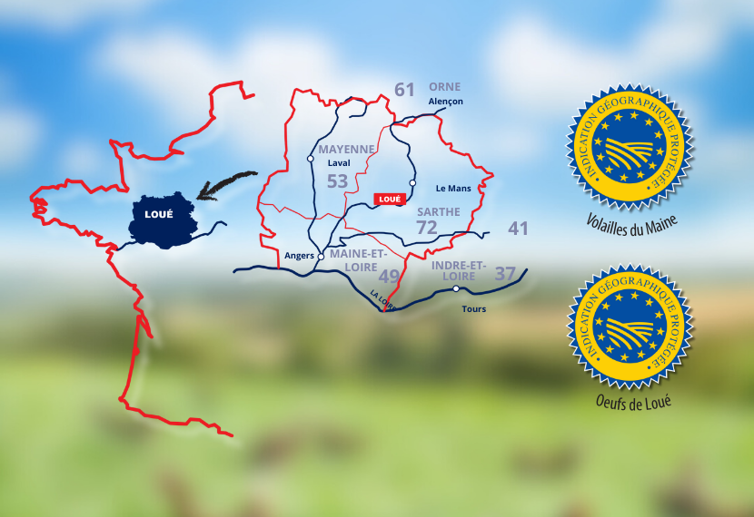 Carte - IGP Volailles du Maine - Aire de production limitée