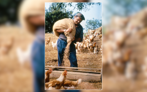 Eugène Lerouge, président en 1978 des Fermiers de Loué, sac d'aliments à l'épaule