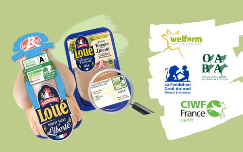 Etiquetage bien-être animal - Poulet de Loué - CIWF - LFDA - OABA - WELFARM