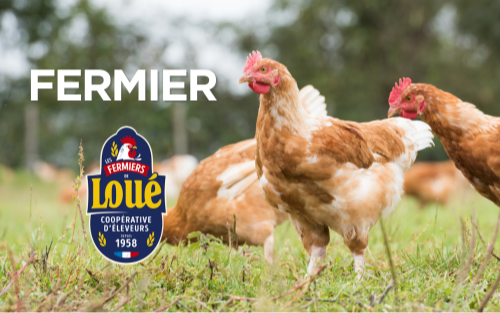 Volailles en liberté - Poulet fermier de Loué