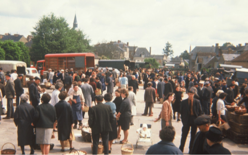 Photo du marché de Loué - Oeufs de Loué