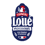 Logo Loué Professionnel